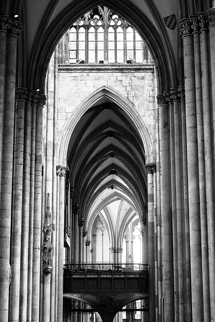 cologne-640x480-24273596.jpeg