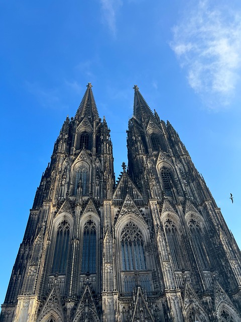 cologne