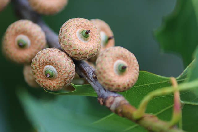 cumberland county new jersey