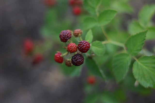 cumberland county new jersey