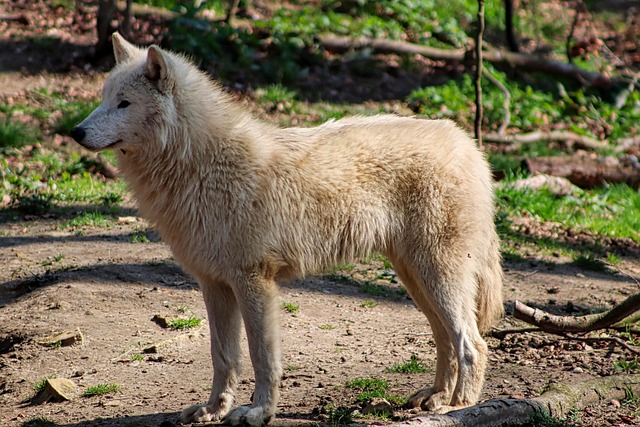 hudson county new jersey