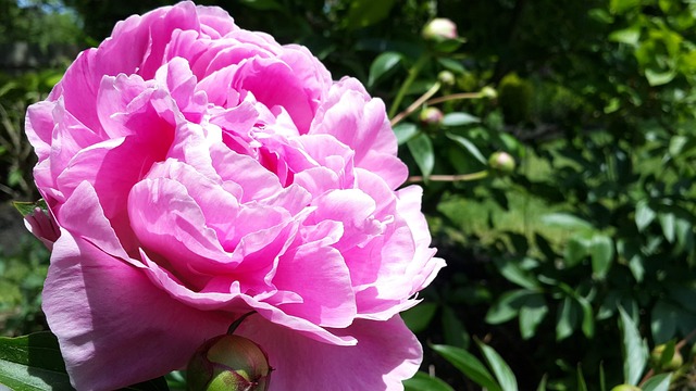 mercer county new jersey