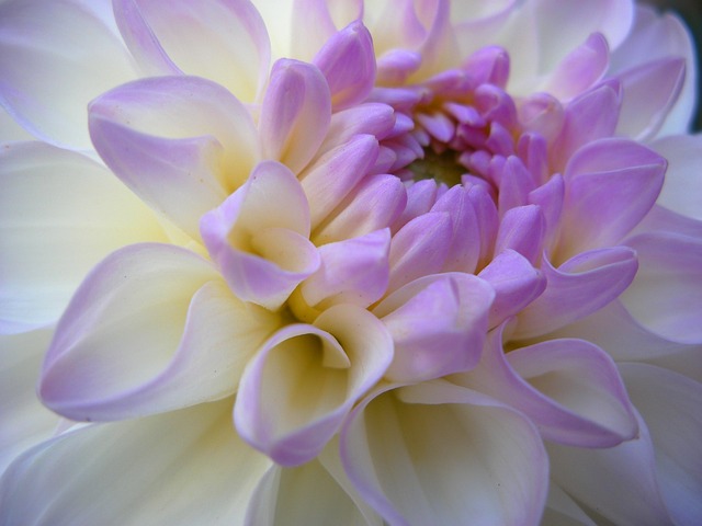 Unleashing Aroma: Strong vs Subtle Fragrances with Gucci Perfume