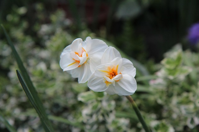 Unveiling Clean Perfume’s Ranking Amidst Brand’s Scent Portfolio