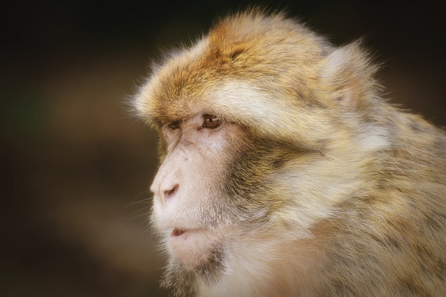 salem county new jersey