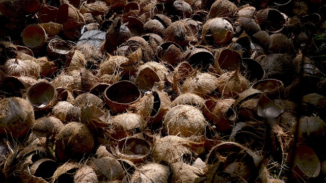 Unveiling Phoenix Real Estate: Find Your Dream Home Here