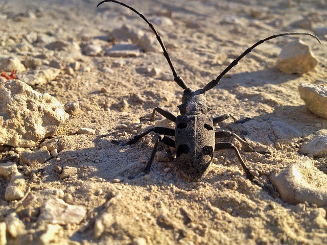 Sold Listings: Unlocking Investment Strategies Through Market Insights