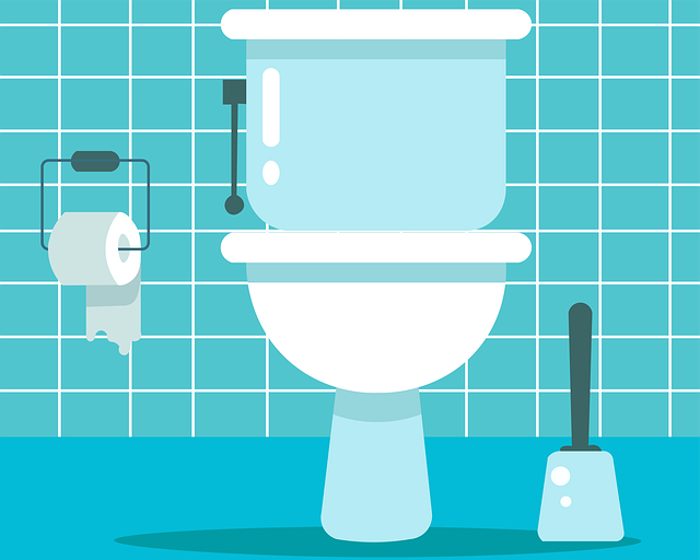 Navigating Fluctuations: Bathroom Remodel Cost Impacts Borrowers