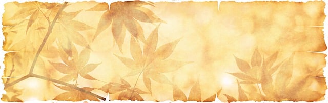 certificate of occupancy