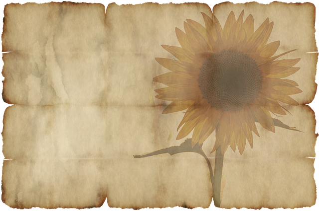 certificate of occupancy