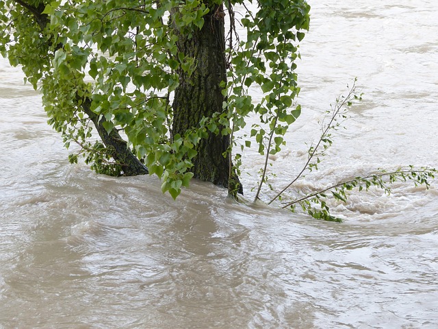 flood-insurance-640x480-38928771.jpeg