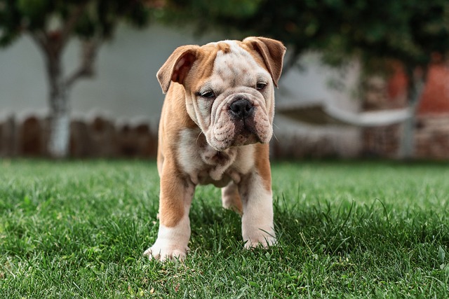 gross rent multiplier