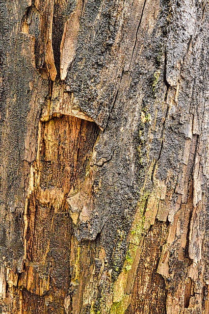 gross rent multiplier