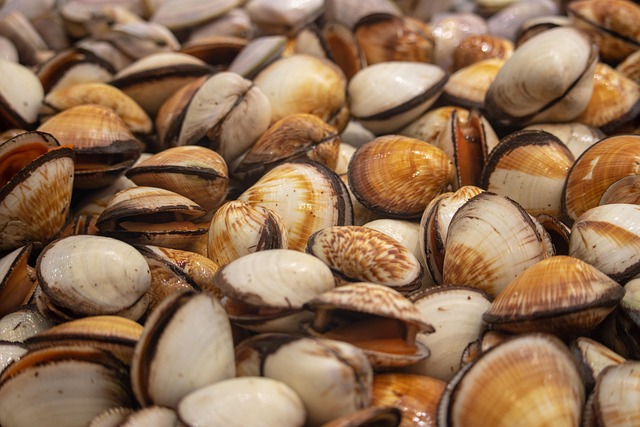 homes for sale maricopa