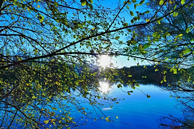 homes for sale sun city west