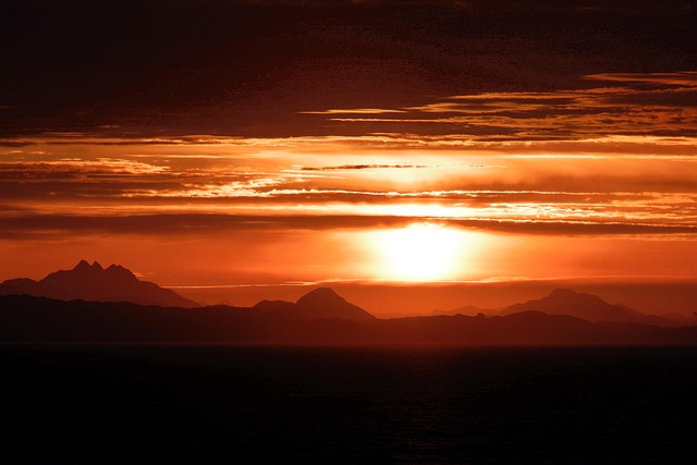 homes for sale sun city west