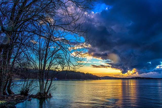 homes for sale sun city west