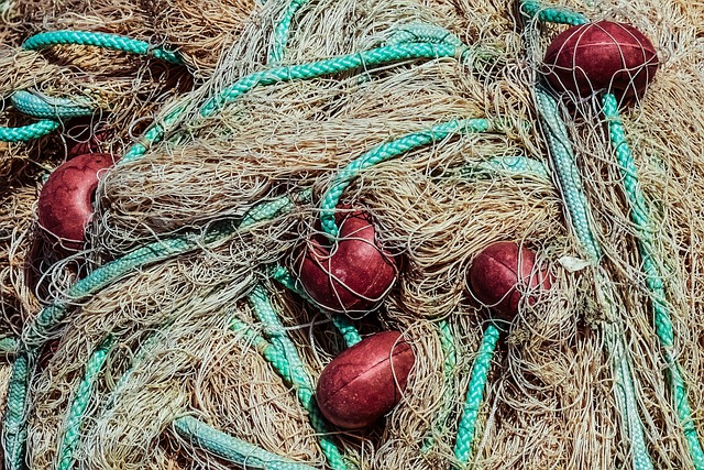 net operating income