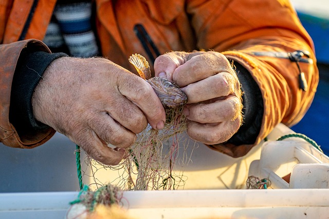 net operating income