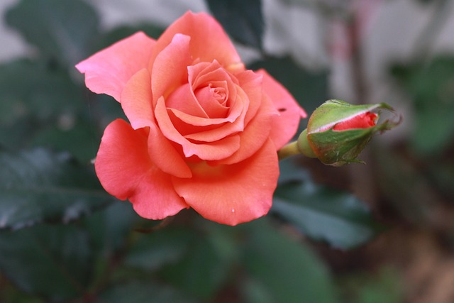 Mastering Planning Commission Guidance for Seller Success