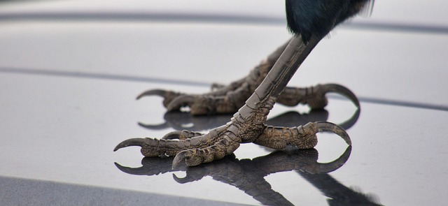 price per square foot