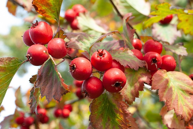 remodeling cost per square foot