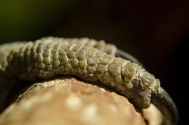 remodeling cost per square foot