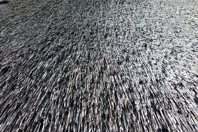 roof replacement cost