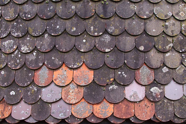 roof replacement cost