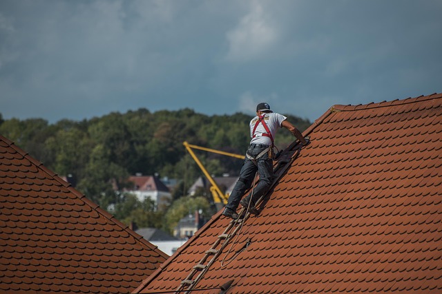 roof replacement cost