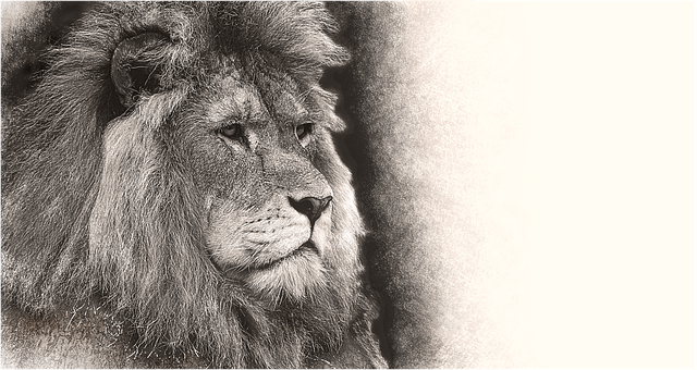 Understanding Title Fees’ Impact on Borrower Loan Strategies