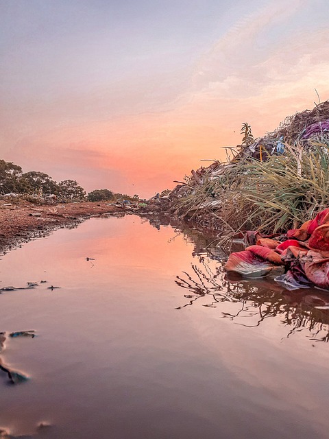 trash pickup schedule