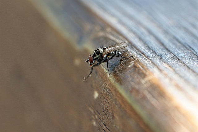 Optimize Investments: Trash Pickup Schedule Market Insights