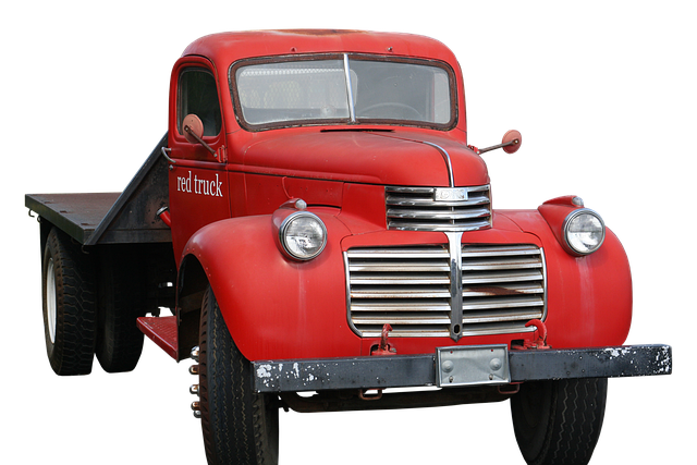 trash pickup schedule