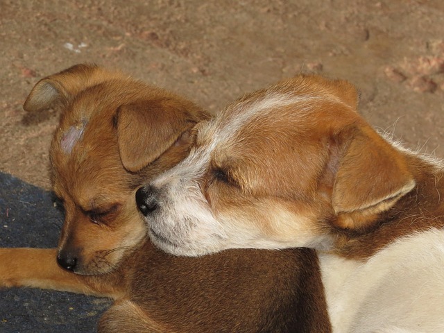 zoning classifications