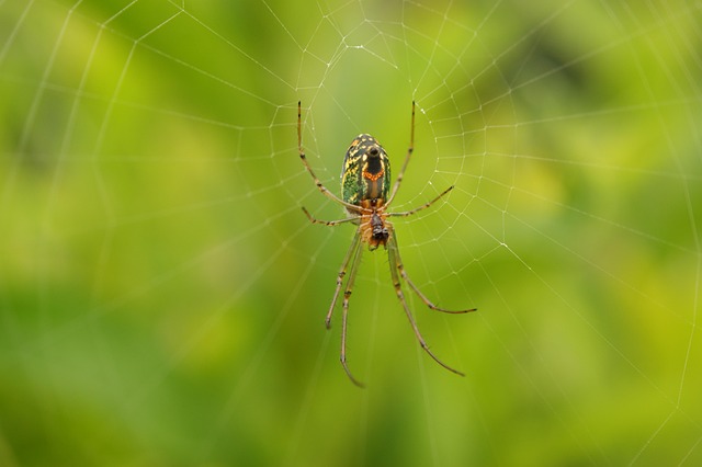 zoning classifications