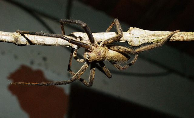 zoning classifications