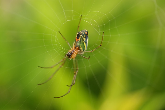 Understanding Zoning’s Impact: Strategic Buyer Decisions with Market Trends