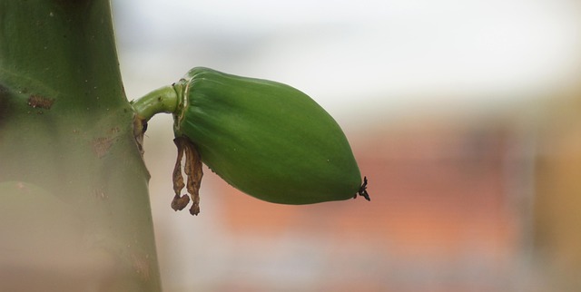 zoning classifications