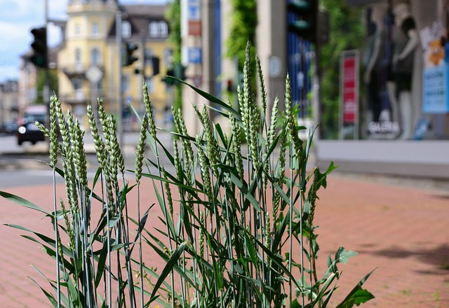 zoning classifications