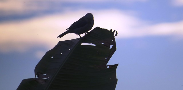 Unlocking Investment Success: Decoding Zoning Ordinance Basics