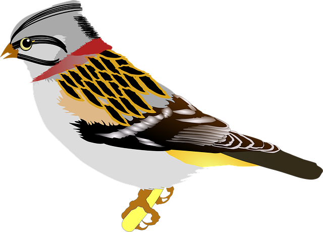 1500 n central ave phoenix mixed use