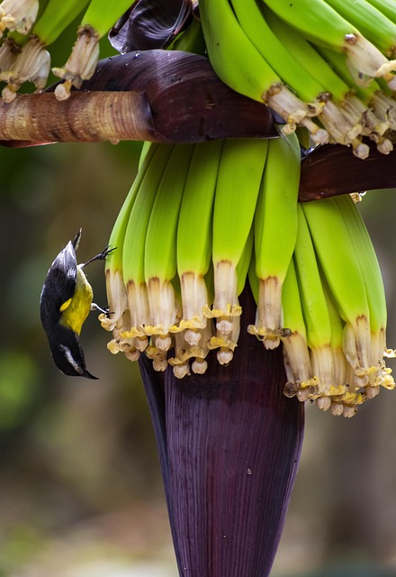 Anthem Homes for Sale: Your Ultimate Real Estate Guide