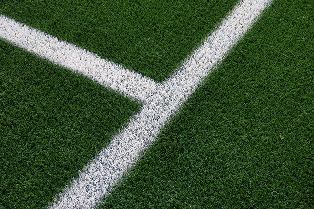 artificial turf rules phoenix neighborhoods