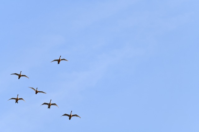 Asset-heavy migration