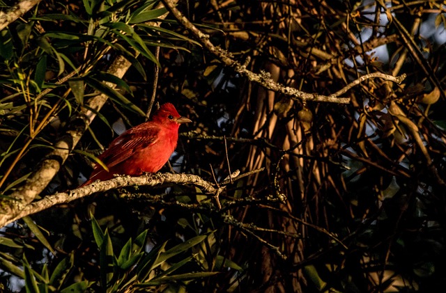 Asset-heavy migration