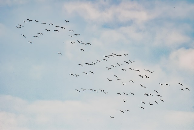 Asset-heavy migration