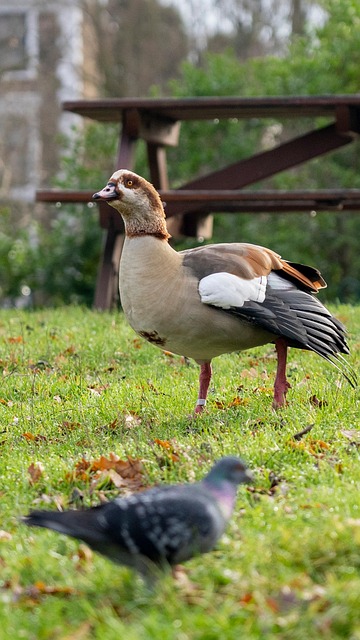 Asset-heavy migration