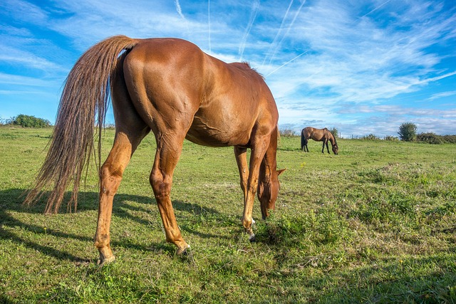 best realtor near me