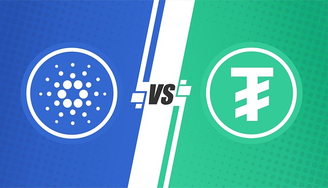 BTR community amenities vs master plan hoa